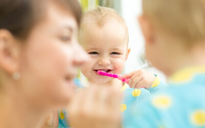 Dental Care in the Toddler Years